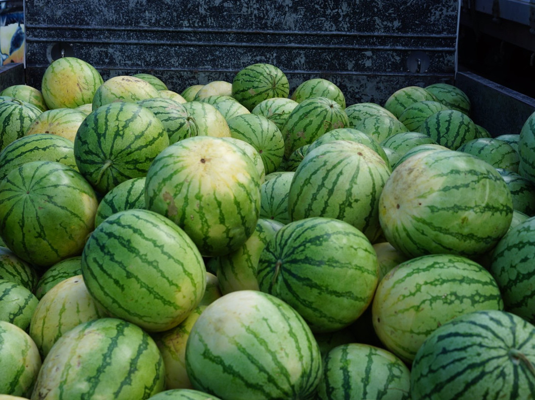 Taboan Public Market-宿雾市必去景点