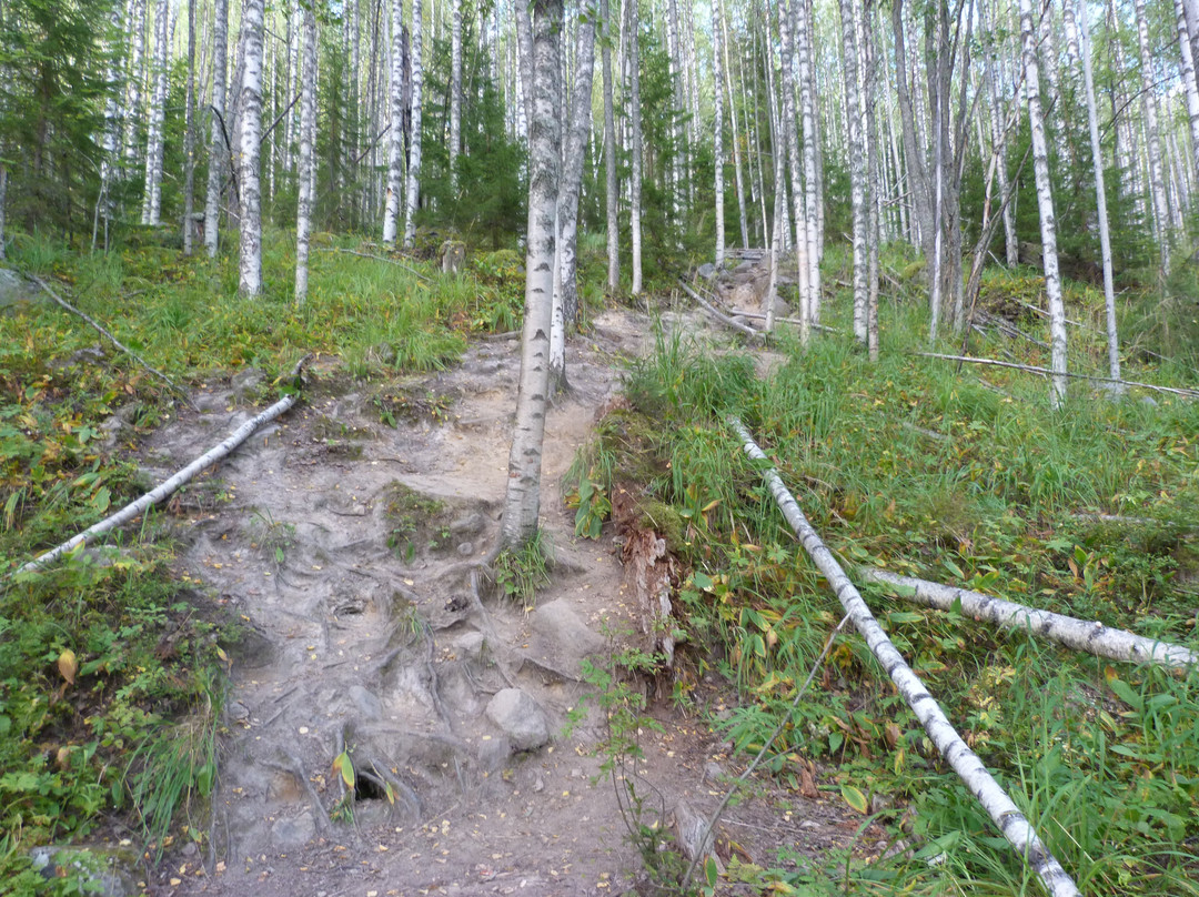 Vottovaara Mountain-Republic of Karelia必去景点