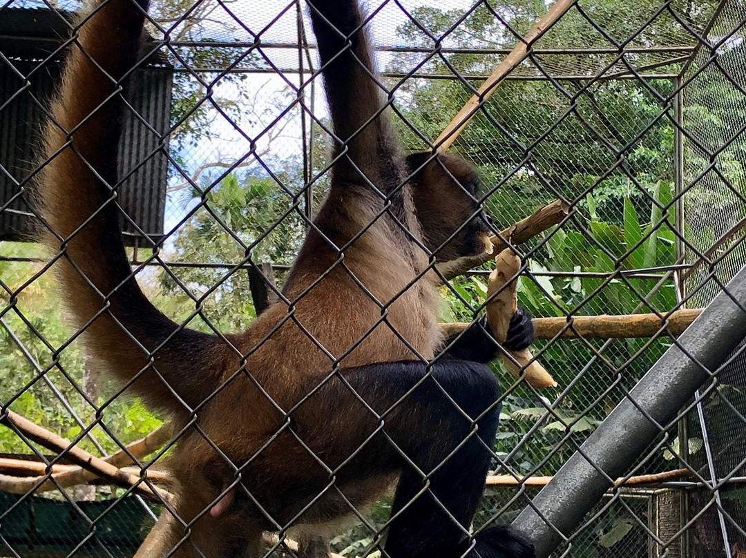 La Marina Wildlife Rescue Center景点图片