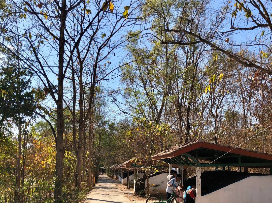 King Cobra Village景点图片