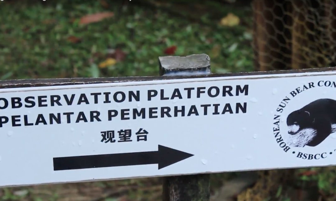 Bromo Ijen Crater Tour-巴纽旺宣必去景点