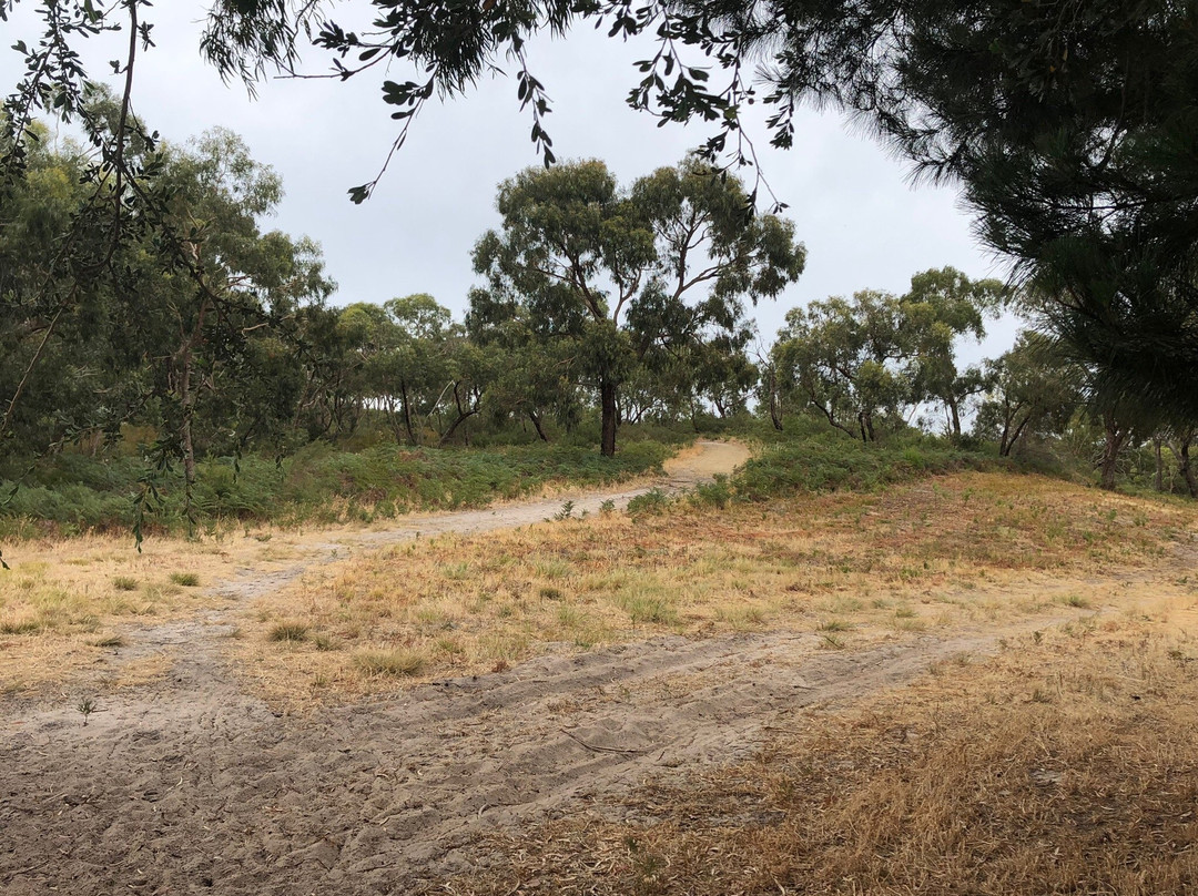 Darnley Drive Playground景点图片