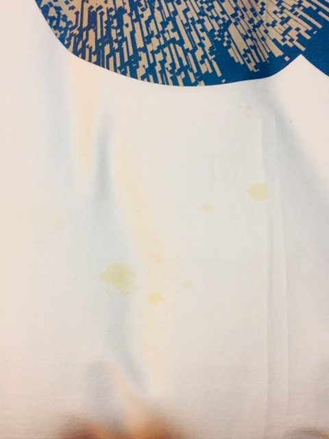 Hotel Boca Budi主图