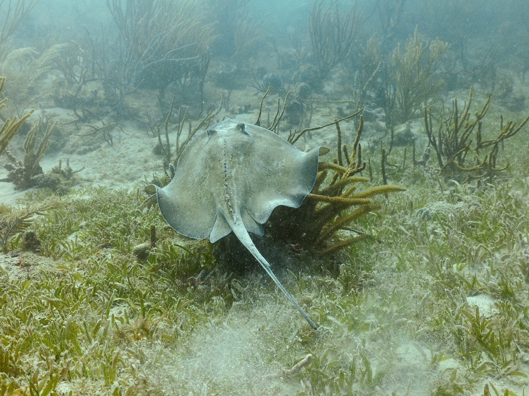 Aquatic Adventures-库莱布拉岛必去景点