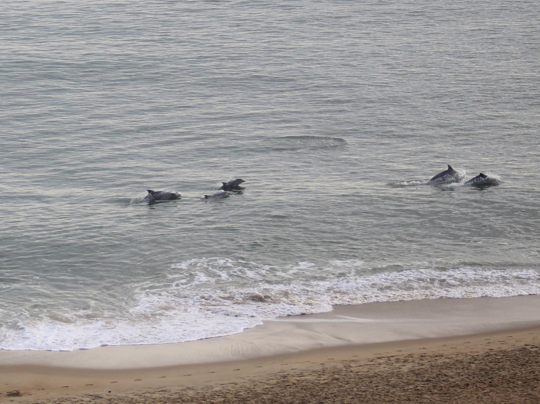 Hyatt House Virginia Beach/Oceanfront主图