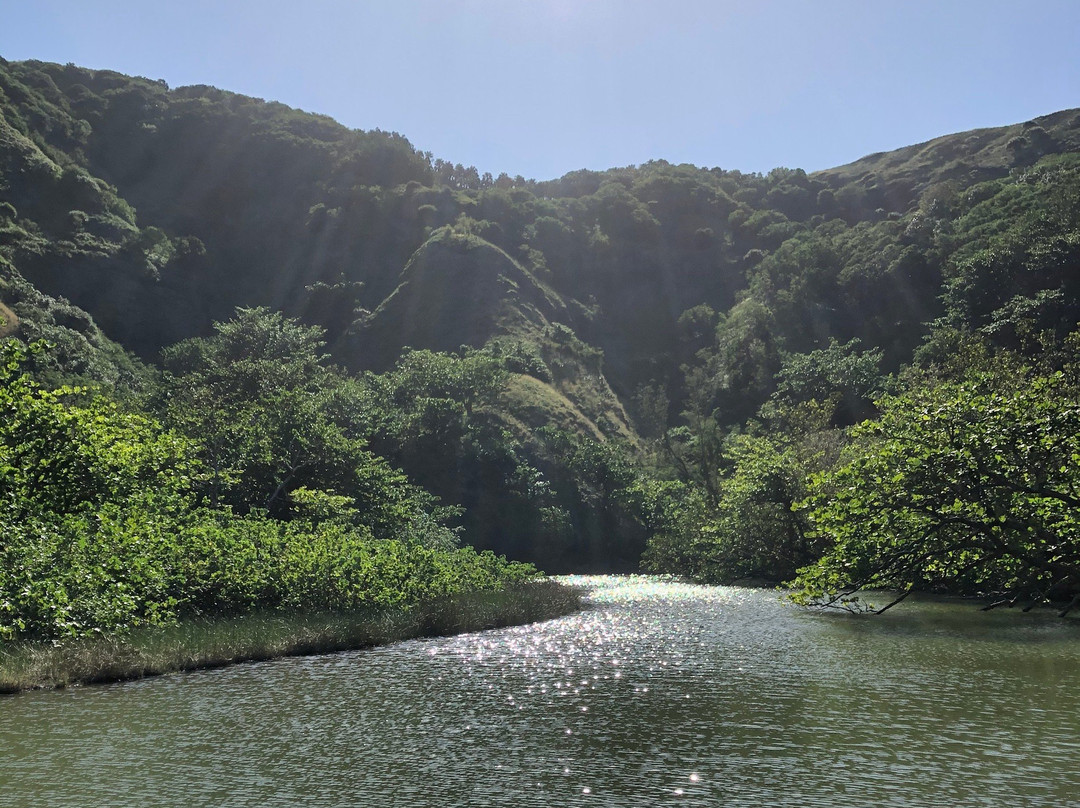 Yatsuse River-小笠原村必去景点