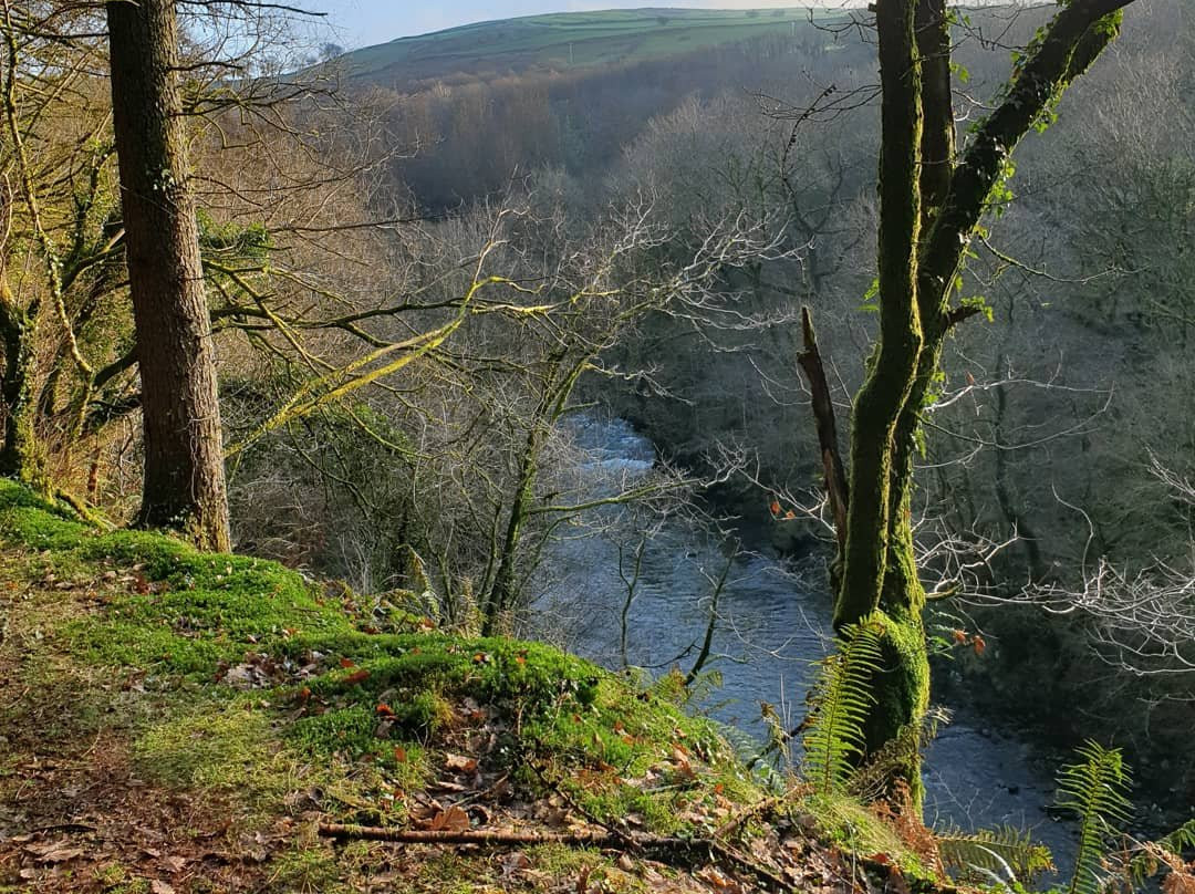 Afan Forest Park景点图片