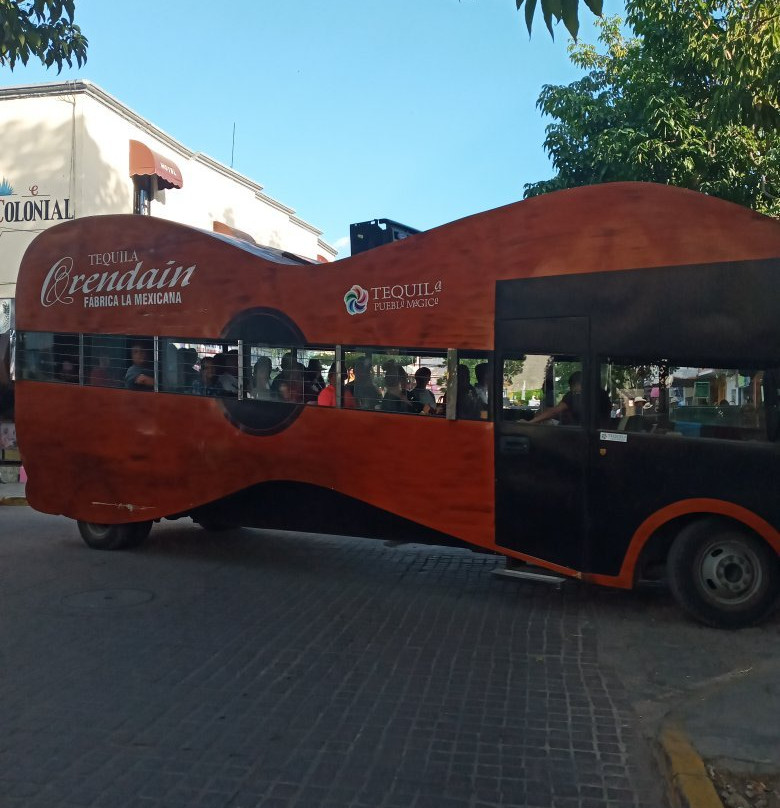 Tequila Tours-瓜达拉哈拉必去景点