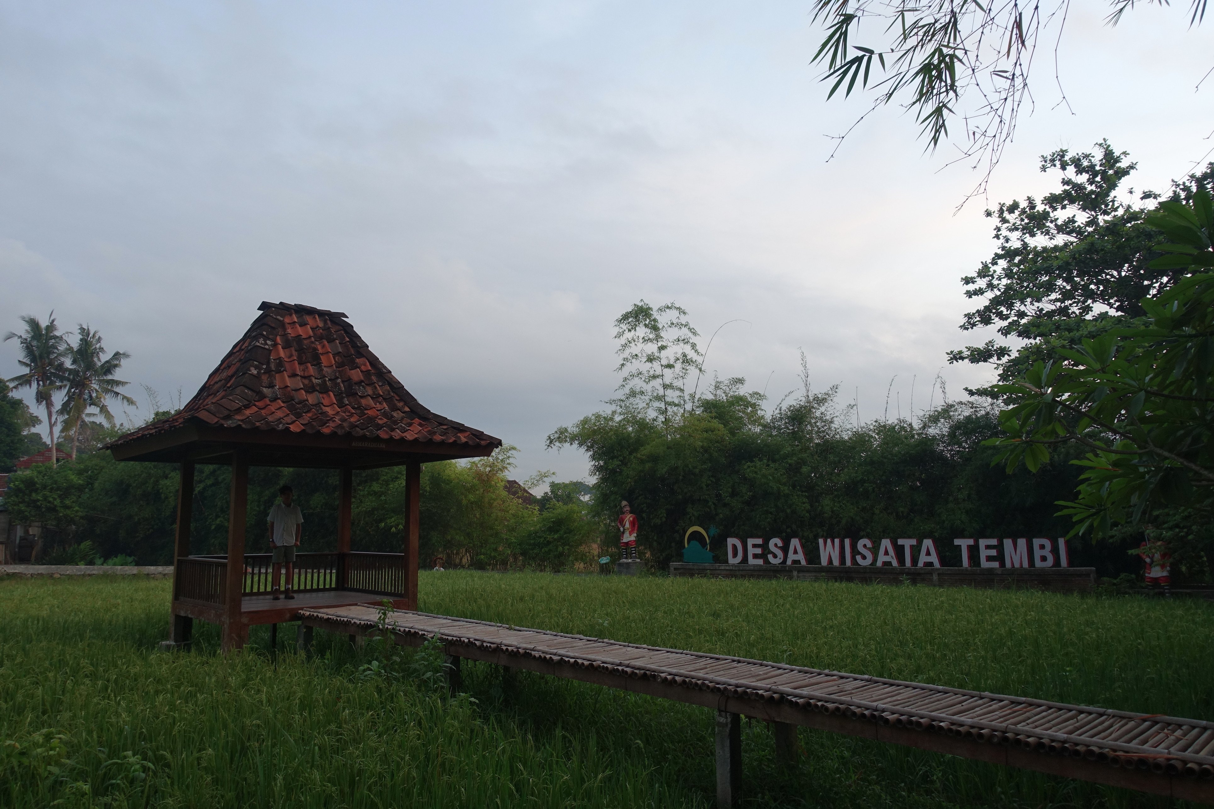 Homestay Tembi-酒店景观