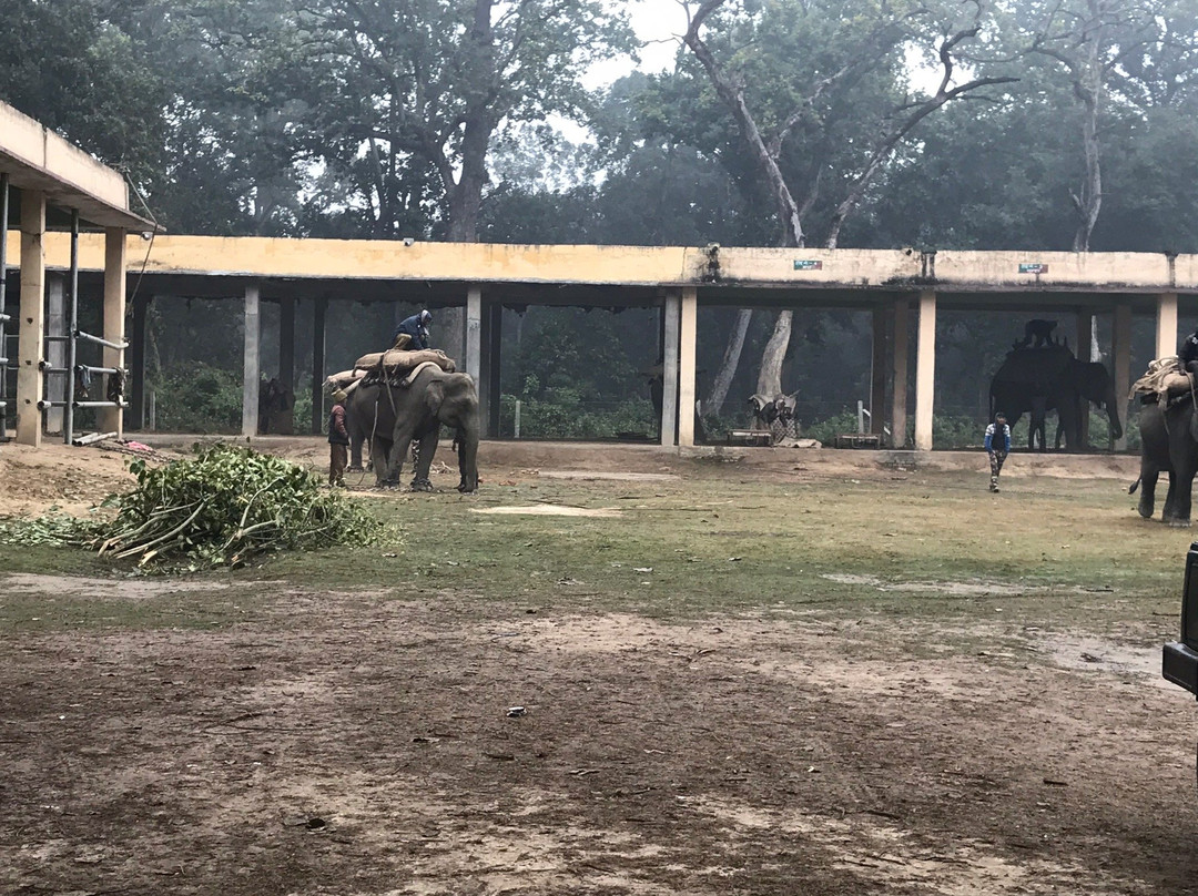 Dudhwa National Park景点图片
