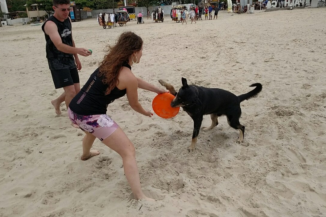 Praia de Baixo景点图片