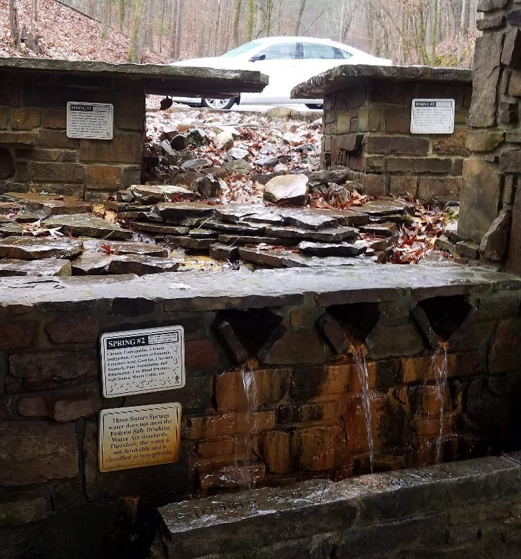 Lake Ouachita State Park-Mountain Pine必去景点