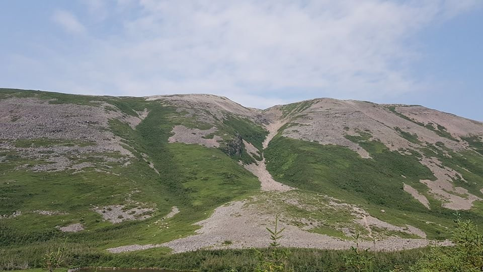 Gros Morne Hiking Trail-Rocky Harbour必去景点