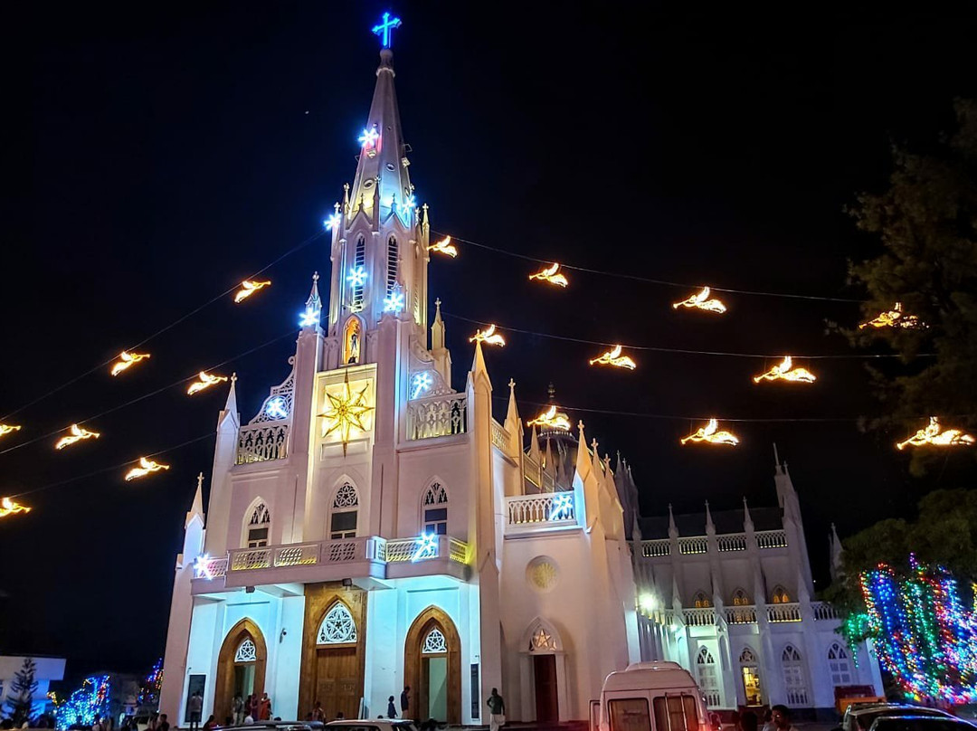 Our Lady of Lourdes Metropolitan Cathedral景点图片