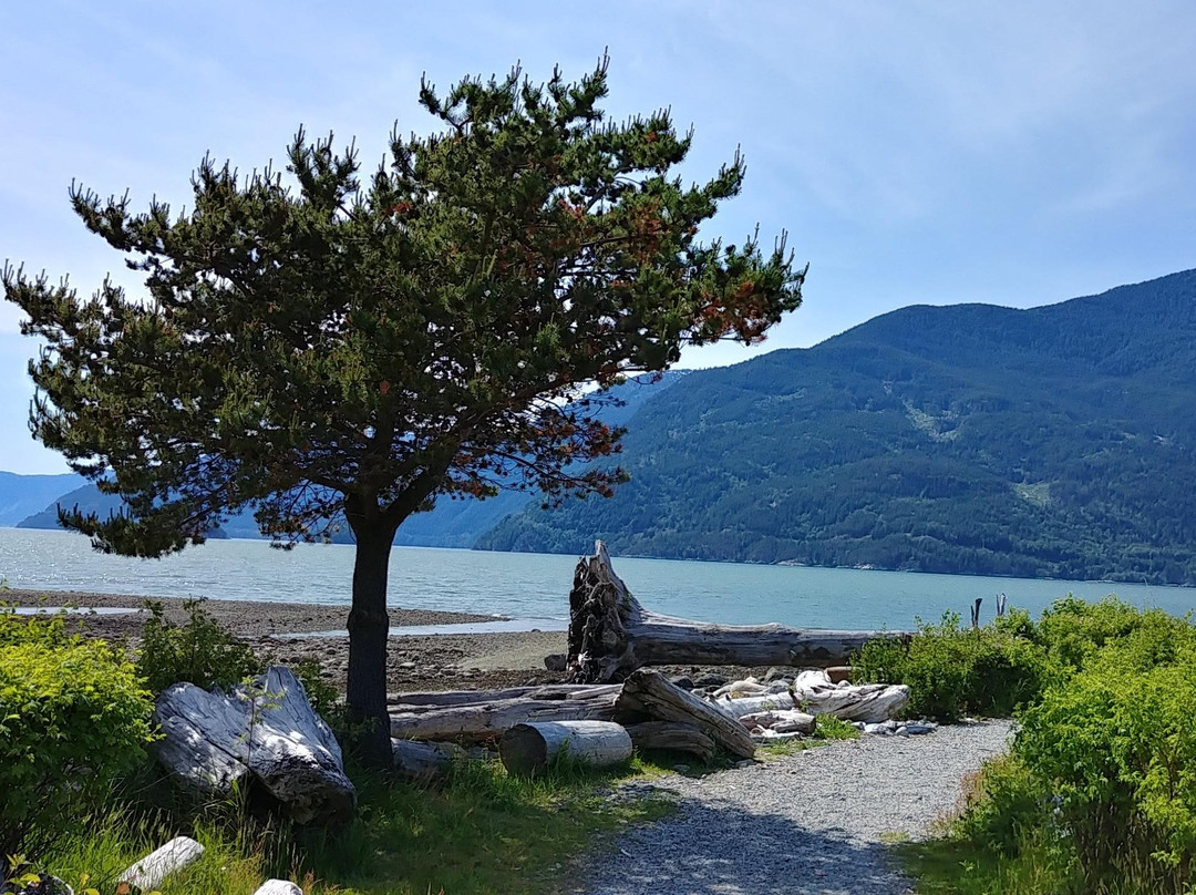 Beautiful Vancouver Explorer Tour & Shuttle-温哥华必去景点