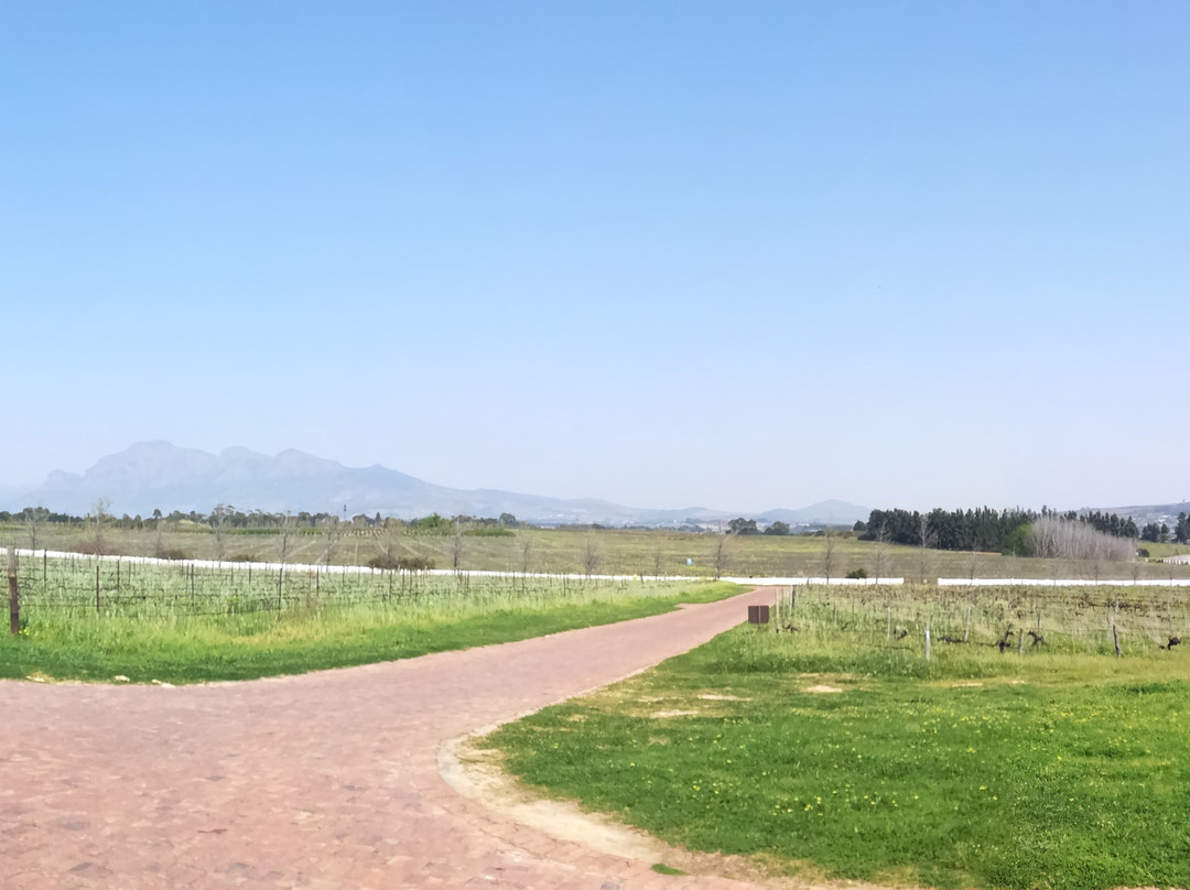 Avondale Wine-帕尔必去景点