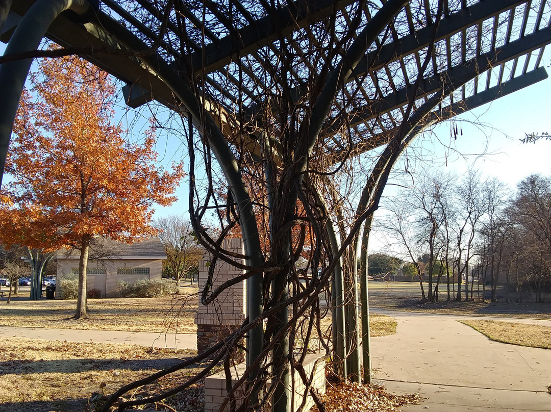 Frisco Commons Park-弗里斯科必去景点