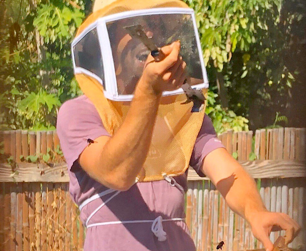 Big Island Bees-库克船长必去景点