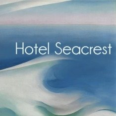 滨海劳德代尔酒店住宿-Hotel Seacrest