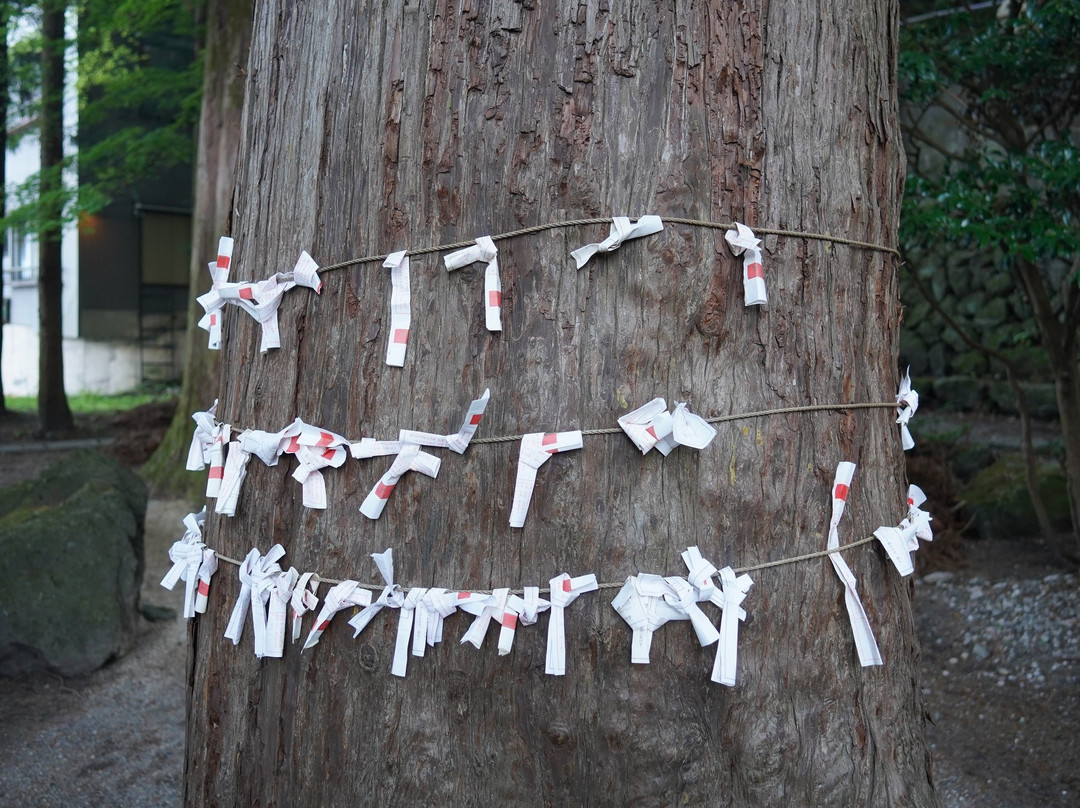 Tenso Shrine-由布市必去景点