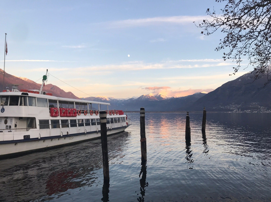 Porto Regionale di Locarno SA景点图片