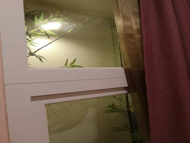 中央明洞空中公园酒店-酒店景观