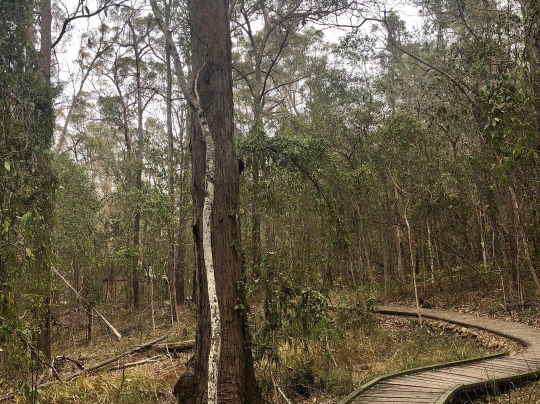 Springwood Conservation Park景点图片