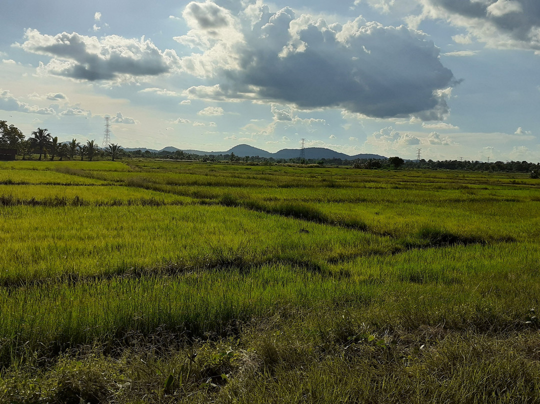 L.G.Lanka Tours景点图片