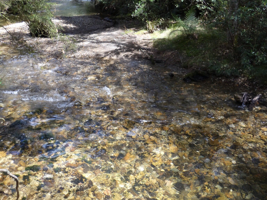 Junee Caves-Maydena必去景点
