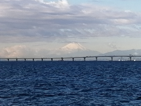 Sodegaura Ocean Park-袖浦市必去景点