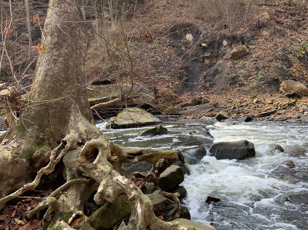 Great Falls of Tinkers Creek-Bedford必去景点