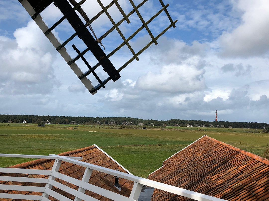 Koren- En Mosterdmolen de Verwachting景点图片