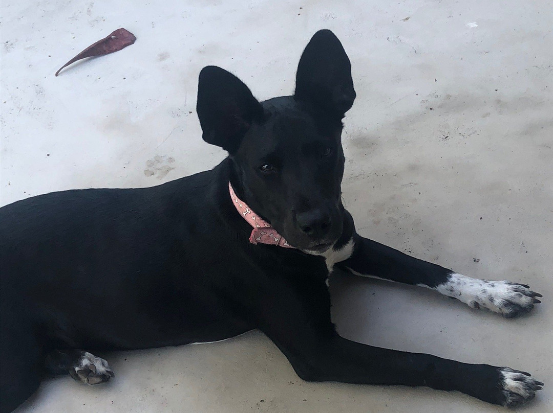 Casa Guacalillo主图