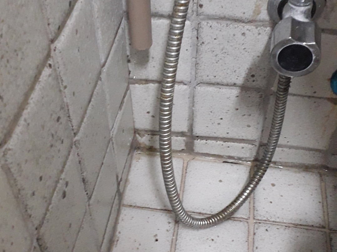 Flats Golden Beach主图