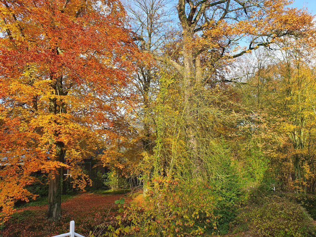 Châteauform' Schloss Krickenbeck主图