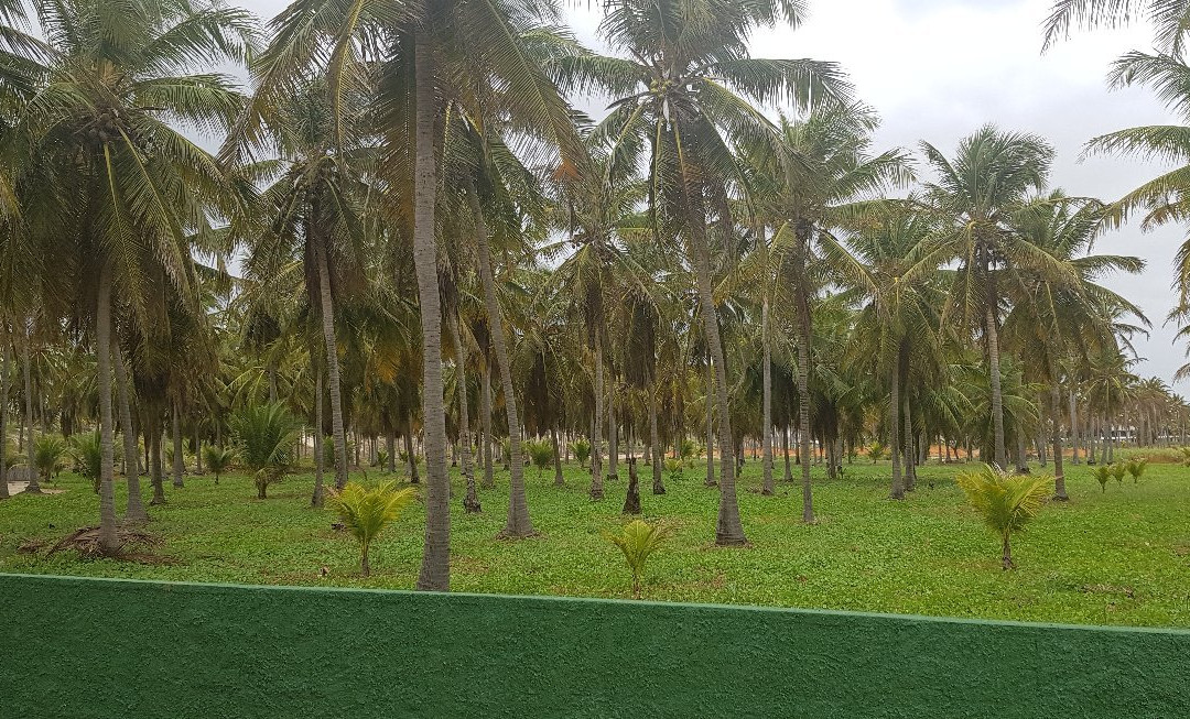 Beach Wind Dunas Hotel主图