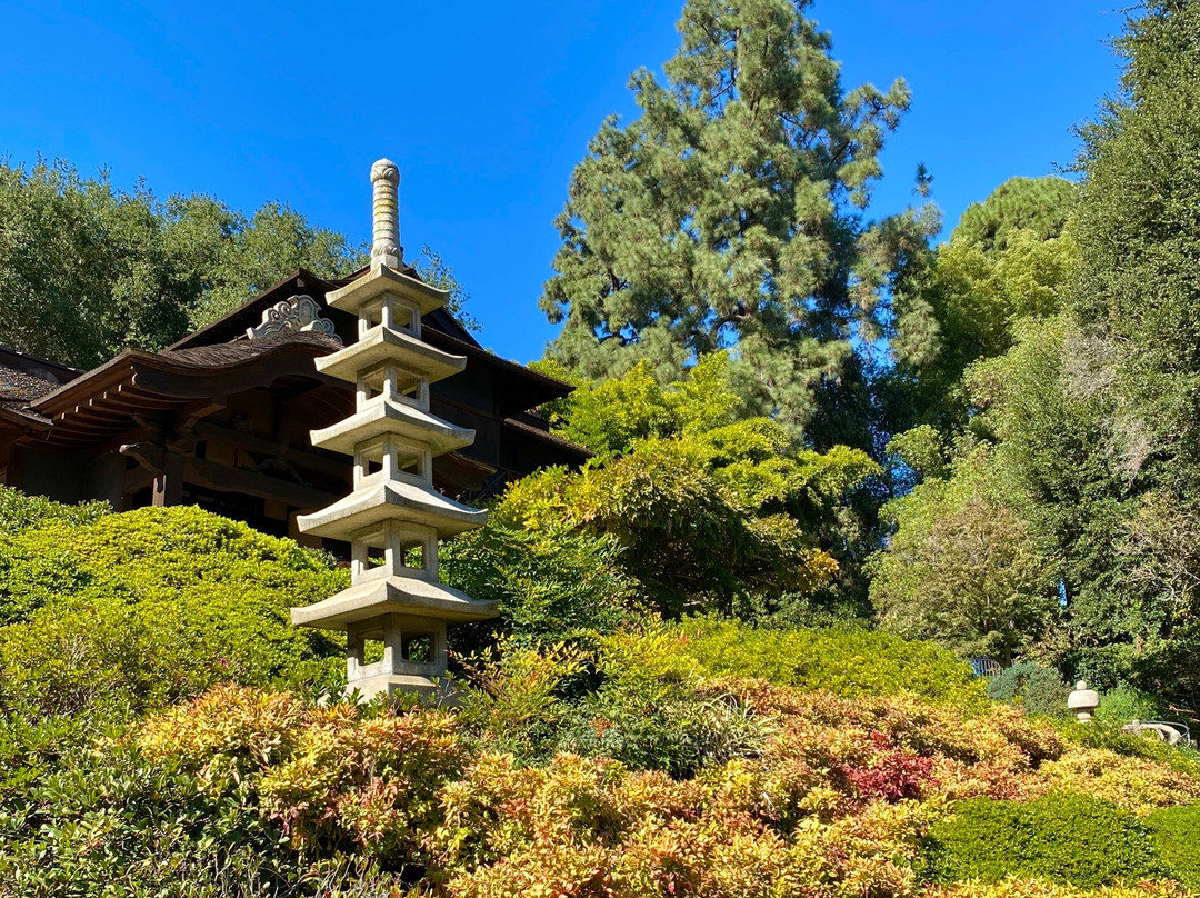 The Huntington Desert Garden-圣玛利诺必去景点