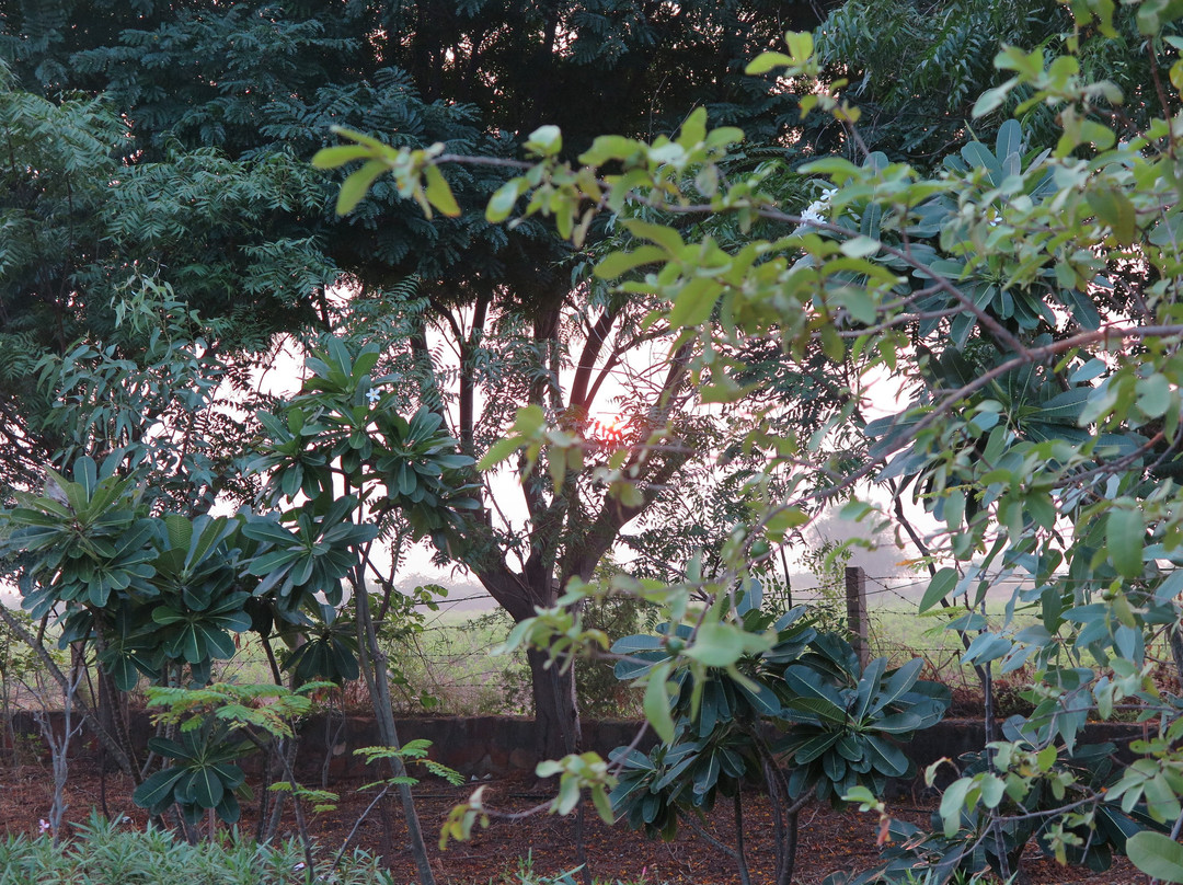 Royal Safari Camp主图