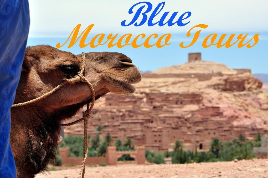 Blue Morocco Tours - Day Trips景点图片