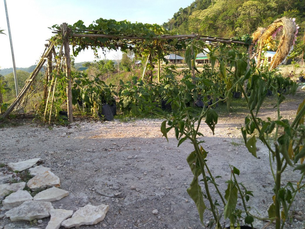 Lapale Hills景点图片