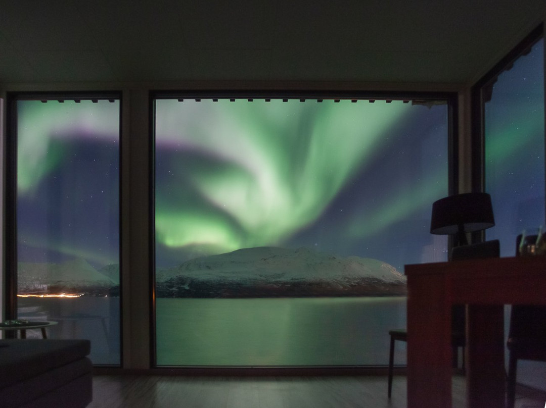 Aurora Distillery Cabins