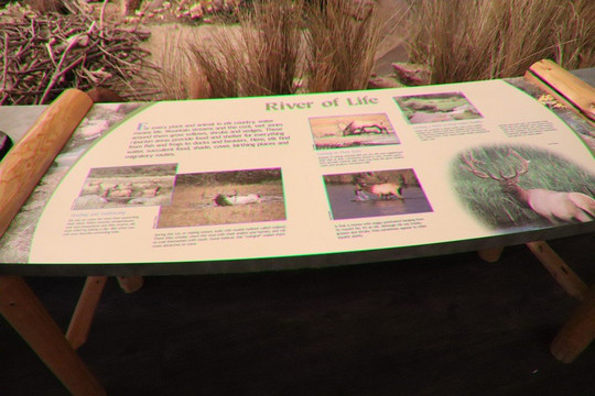 Rocky Mountain Elk Foundation-米苏拉必去景点