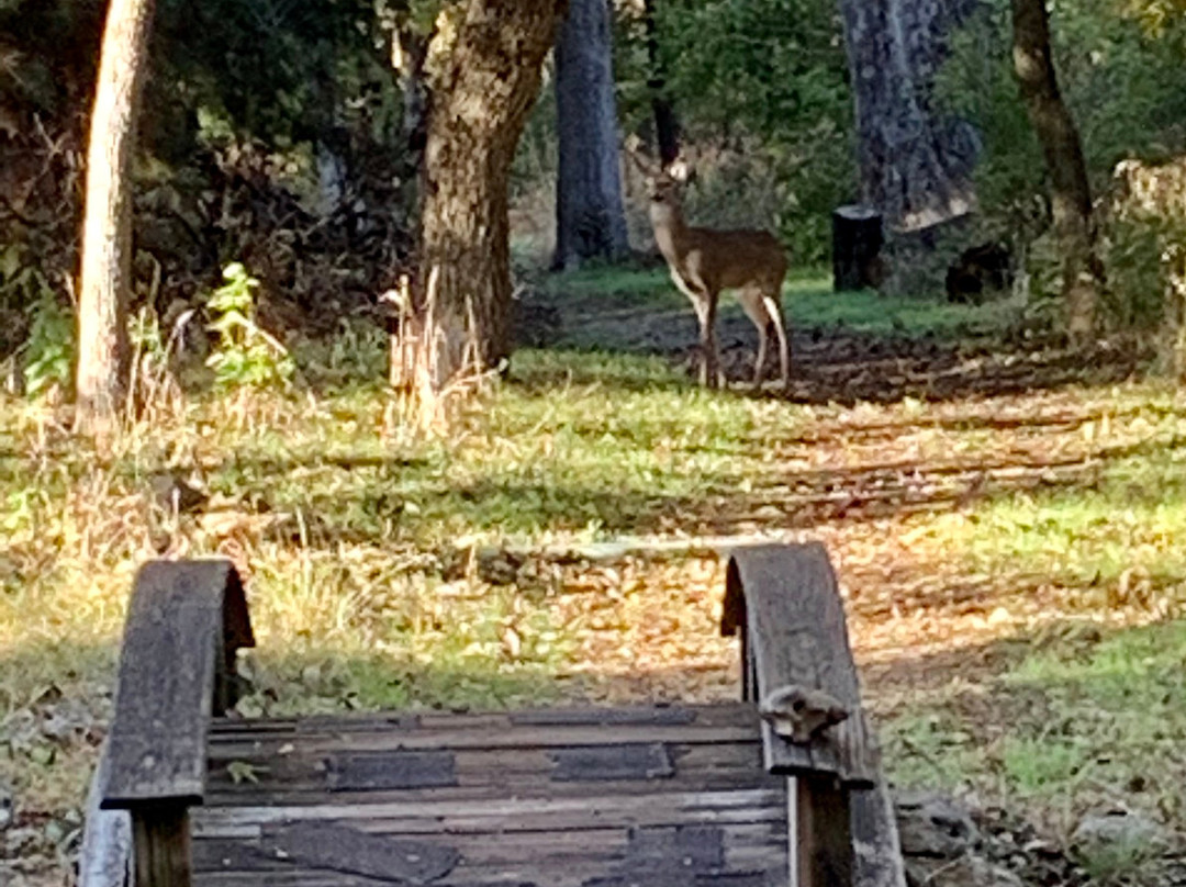 Sun City Texas-Georgetown必去景点