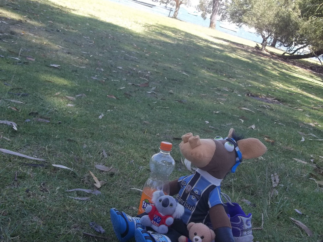 The University of Western Australia-珀斯必去景点