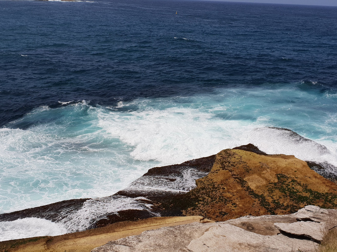 North Bondi Lookout景点图片