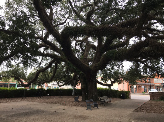 The Caldwell House主图