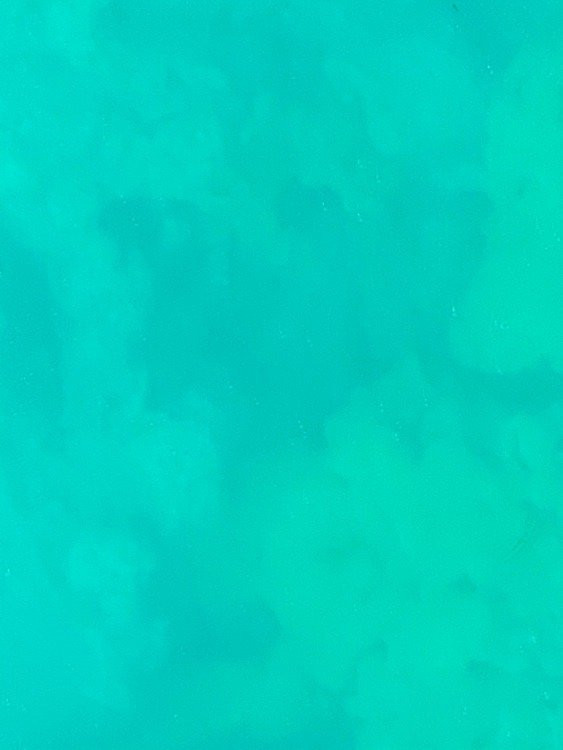 Key West Glass Bottom Boats景点图片