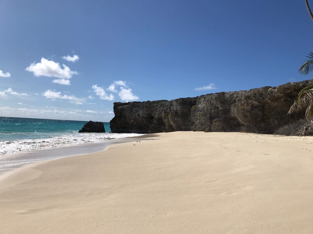 Hummingbird House主图