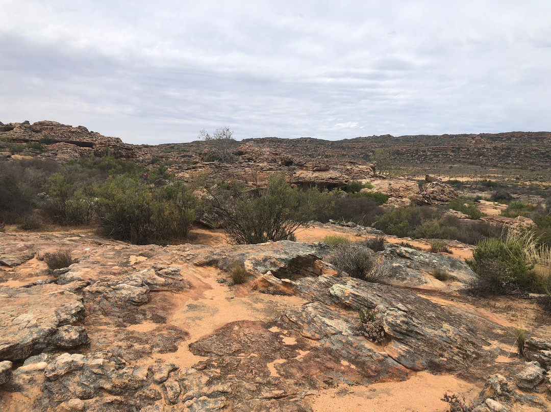 Cederberg Wilderness Area-克兰威廉必去景点