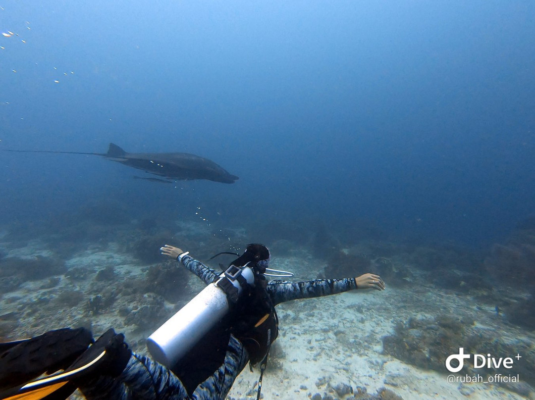 Arborek Dive Shop-Arborek必去景点